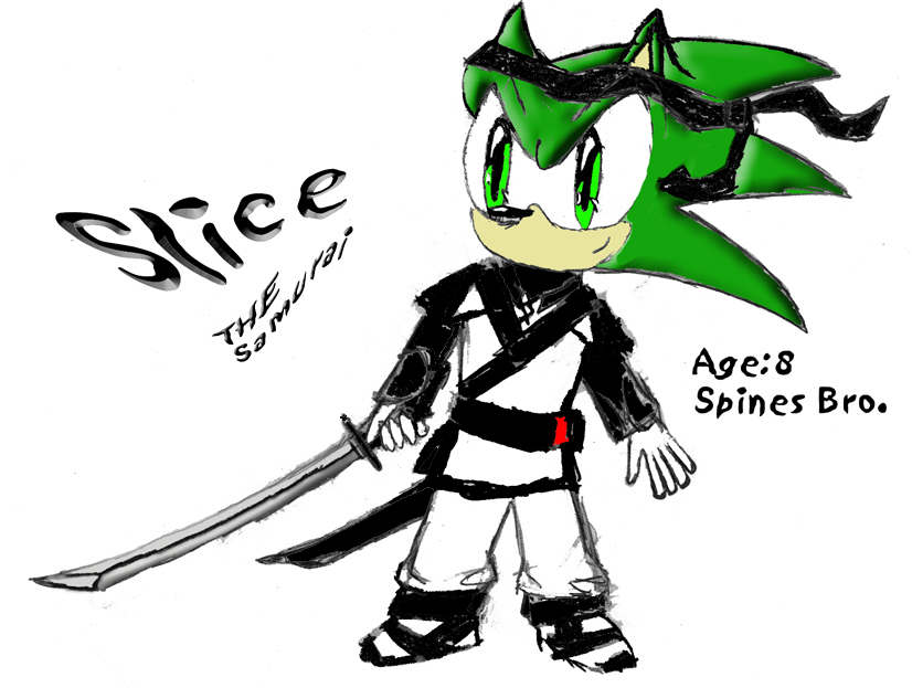 Slice the Hedghog (spines Bro) by SonicXLIGHTX
