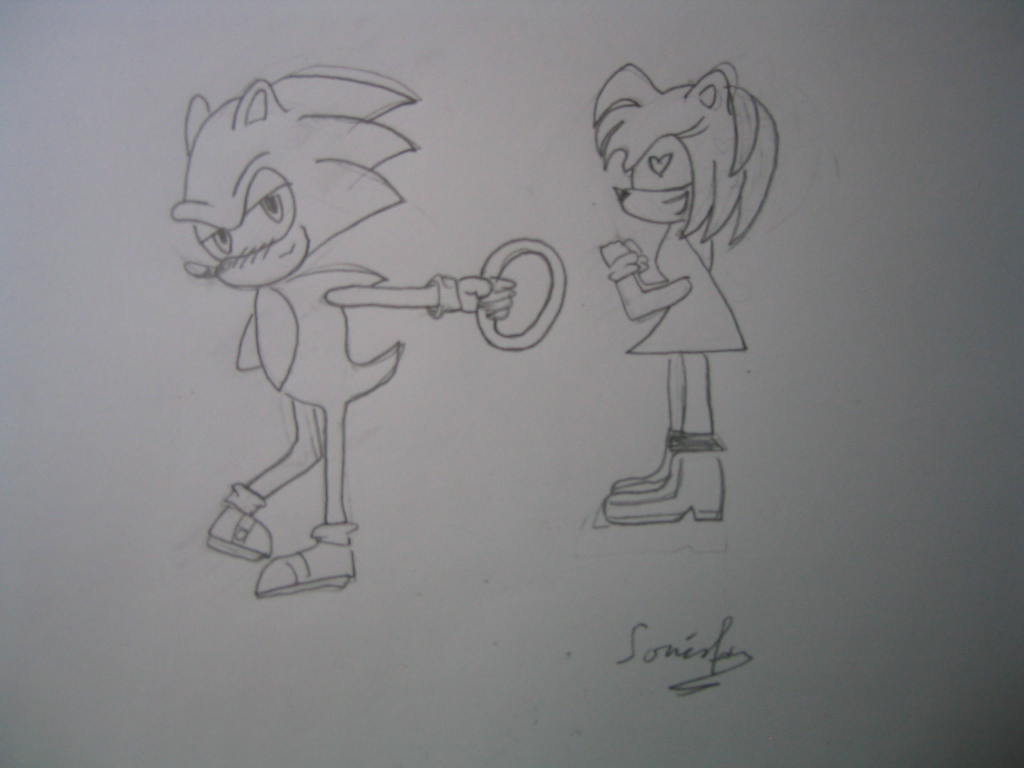 A Present for Amy XD by Sonicfan