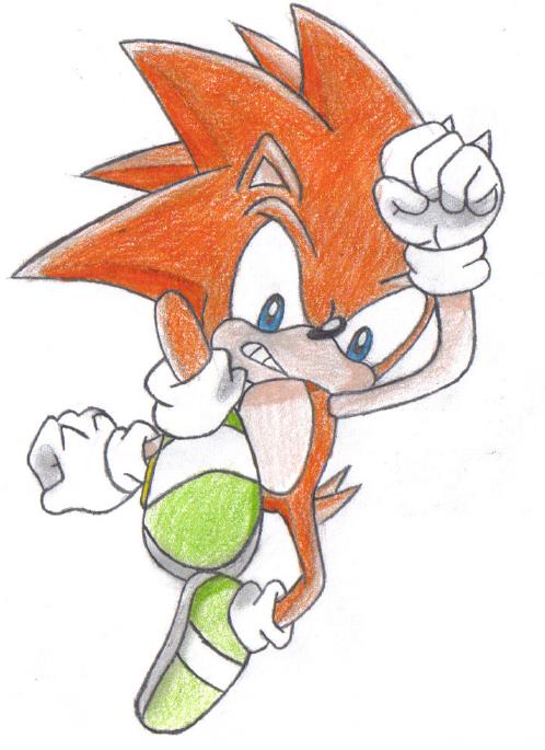 Talons the Hedgehog (Request: Charmed_One_Scottie) by Sonicluva