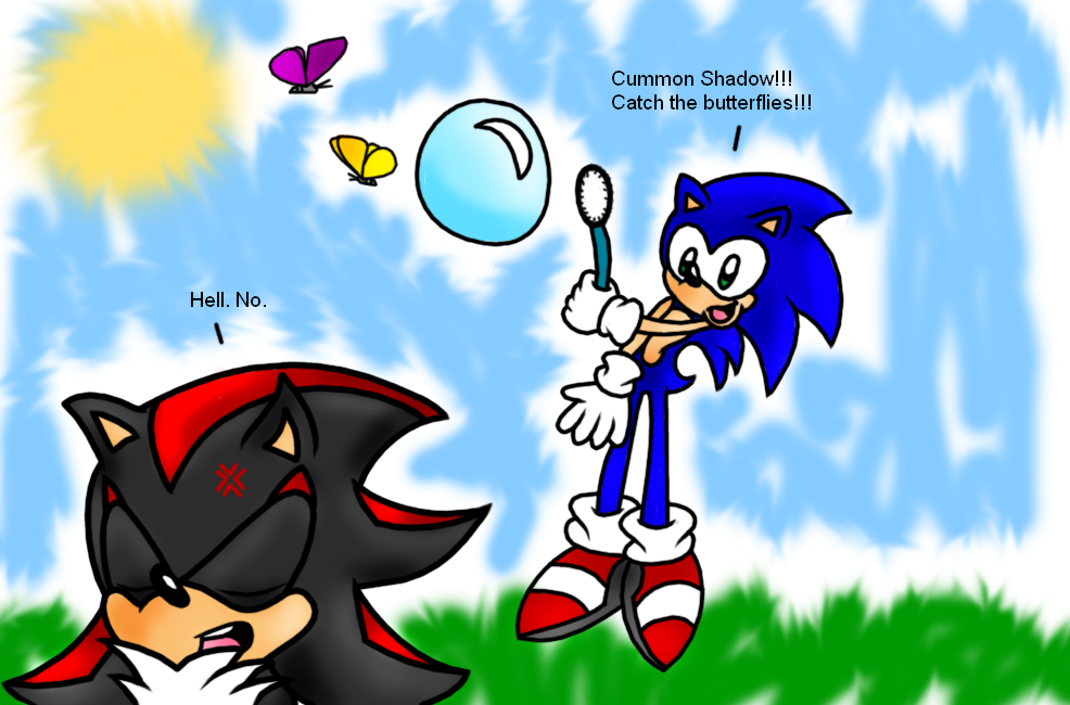 Catch the Butterflies Shadow! by Sonicluva