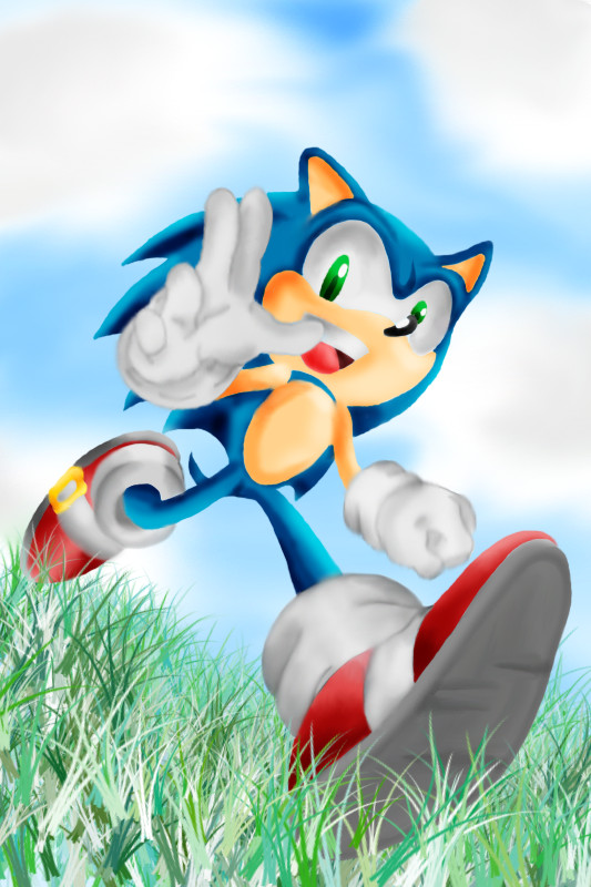 Sonic Running (Finished) by Sonicluva