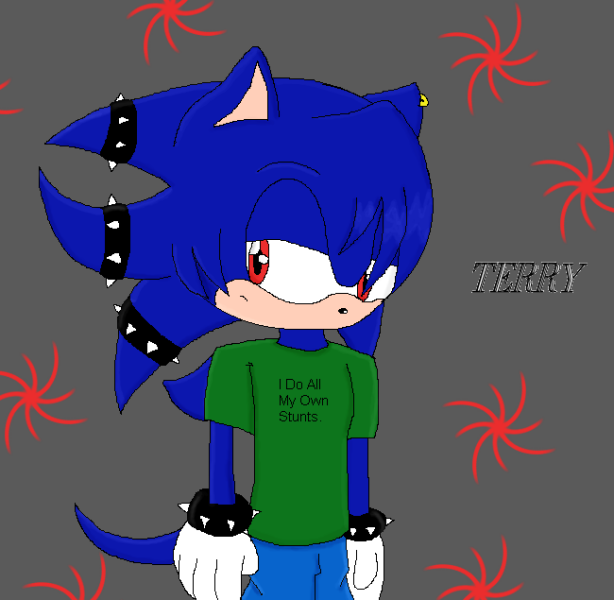 Terry the Hedgehog by SonicsGirl93