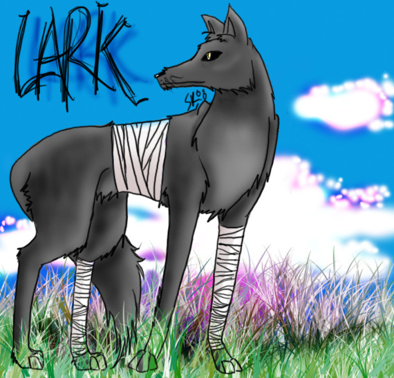 Lark (COLORED!!! FINALLY!) by Spazz