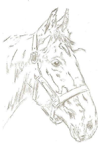 horse by Spiderwick95