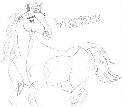 Warrior by SpiritOfTheHorse