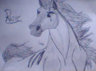 Razor stallion by SpiritRandomer
