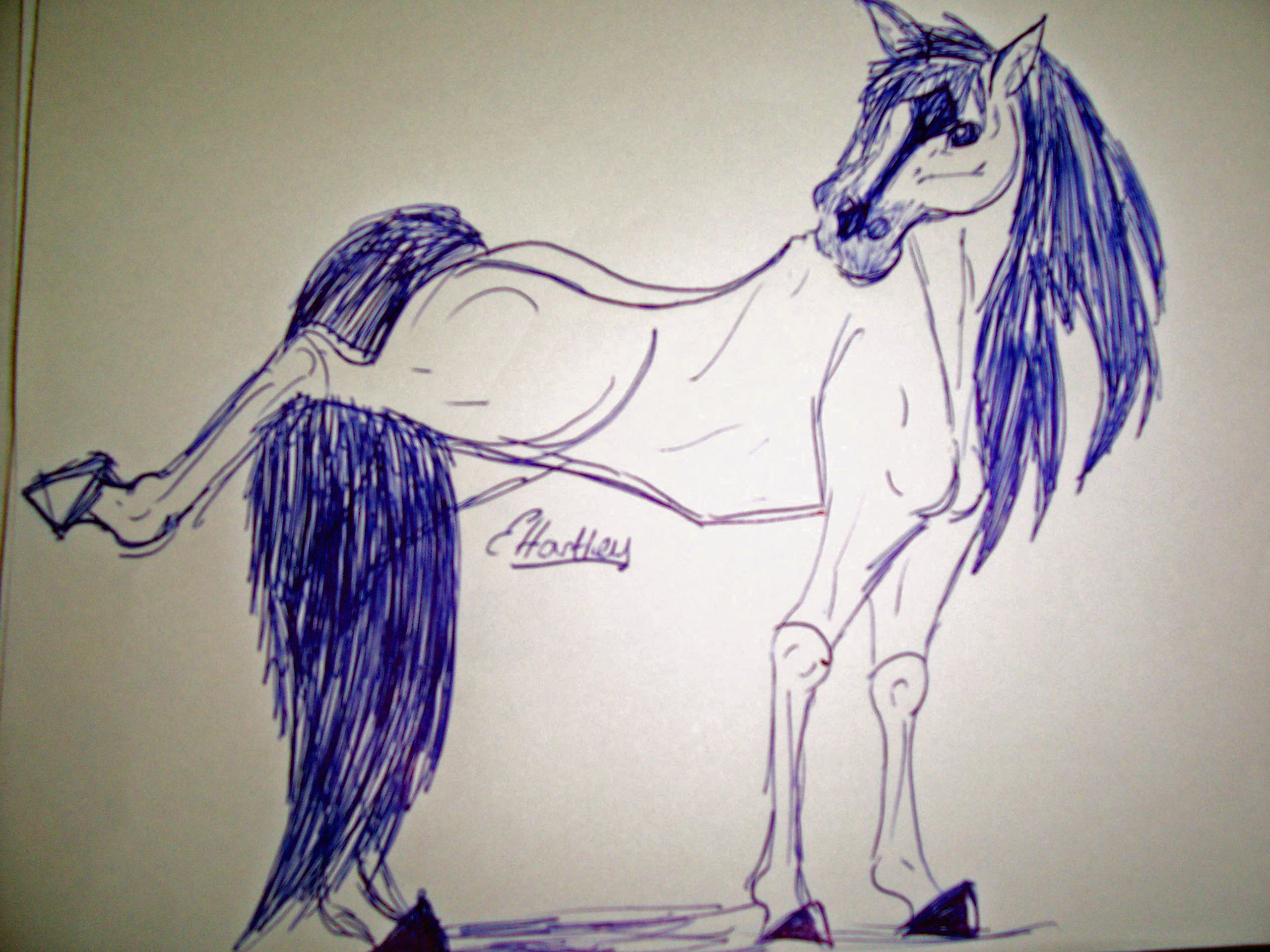 Max - the streching horse by SpiritRandomer