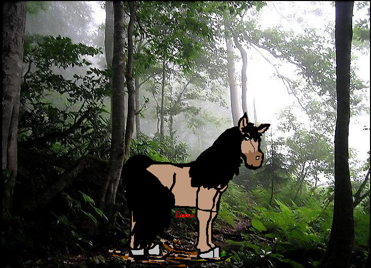 New forest pony by SpiritRandomer