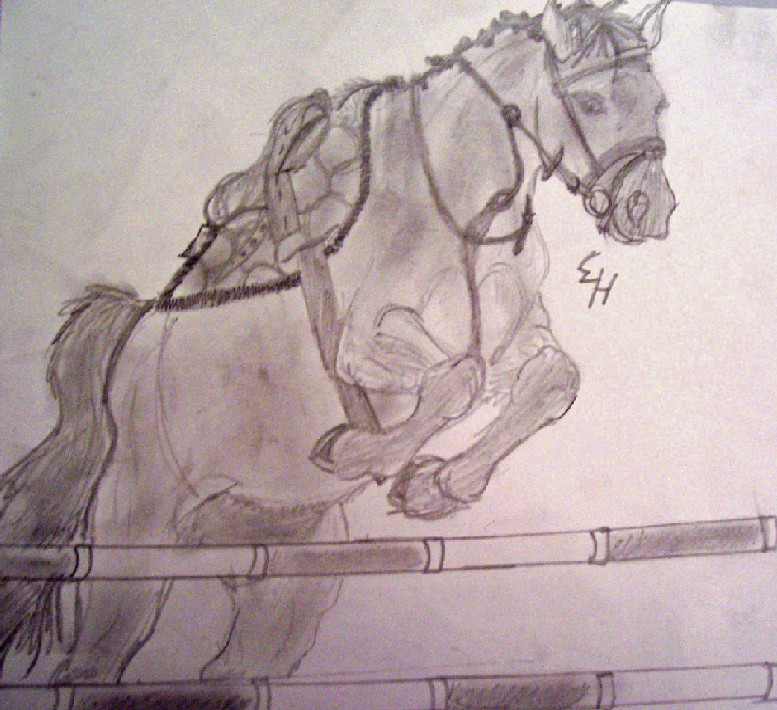 Jumping horse by SpiritRandomer