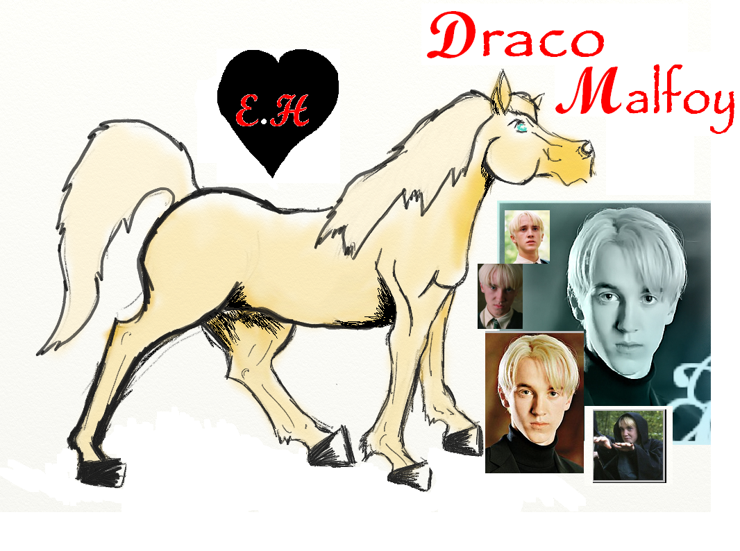 Draco Malfoy (horse) by SpiritRandomer