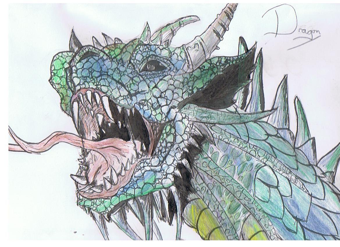 Dragon by SpiritRandomer