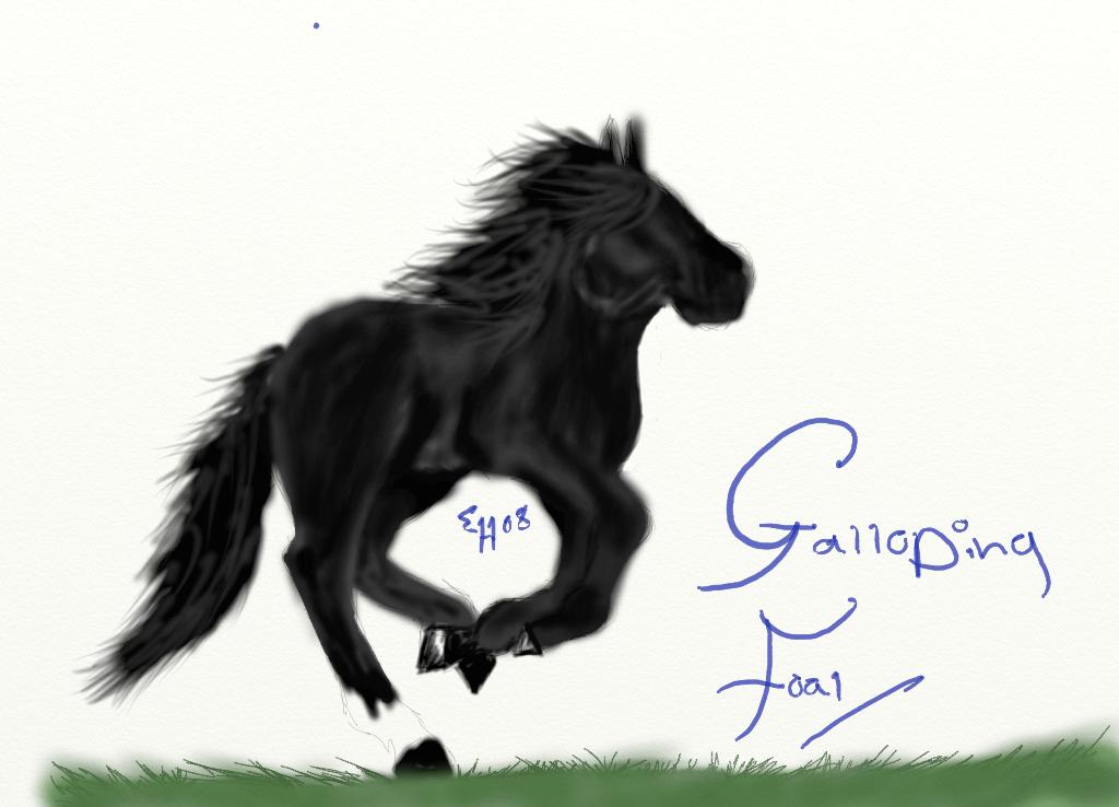 Galloping foal by SpiritRandomer