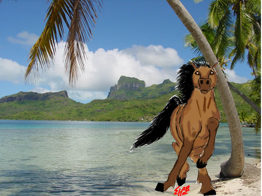 Running horse on beach by SpiritRandomer