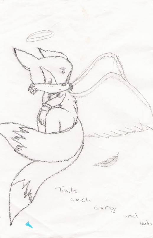 Tails the angel by Splixx
