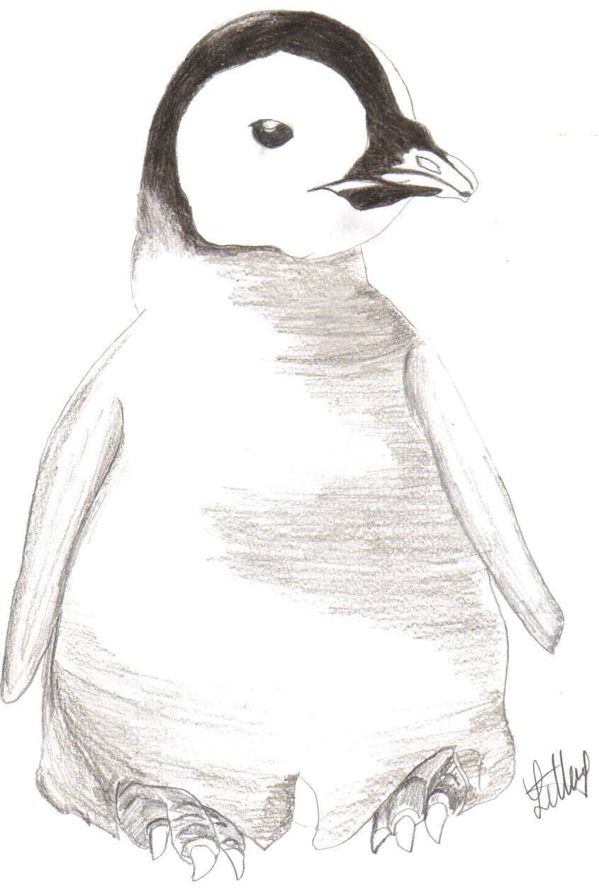 Icepenguin for Icepenguin101's Contest by Spottedfur