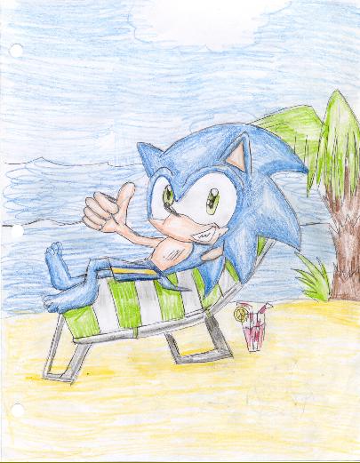 sonic on the beach with a swim suit by Star_The_Hedgehog