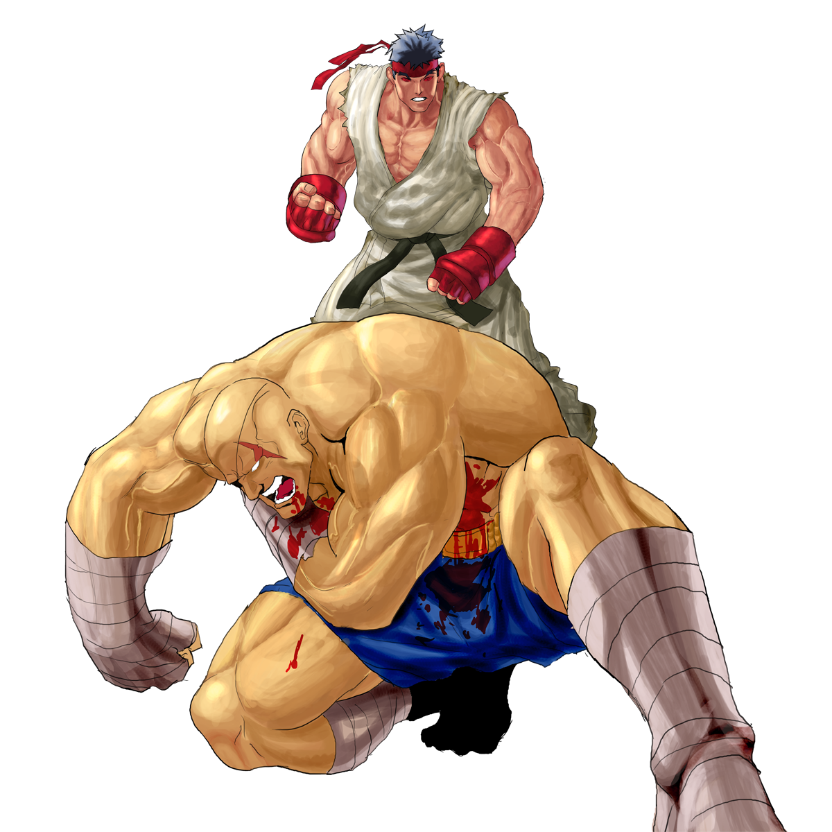 Ryu vs Sagat by Stitchking