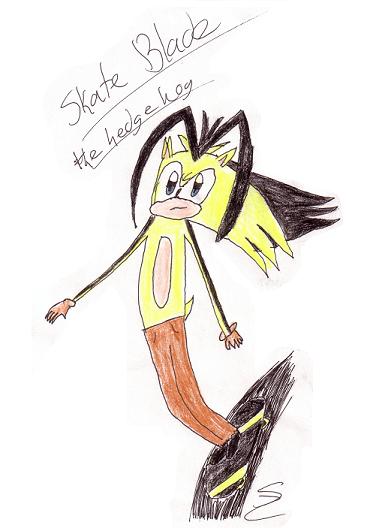 Skate Blade the hedgehog by StormSpirit