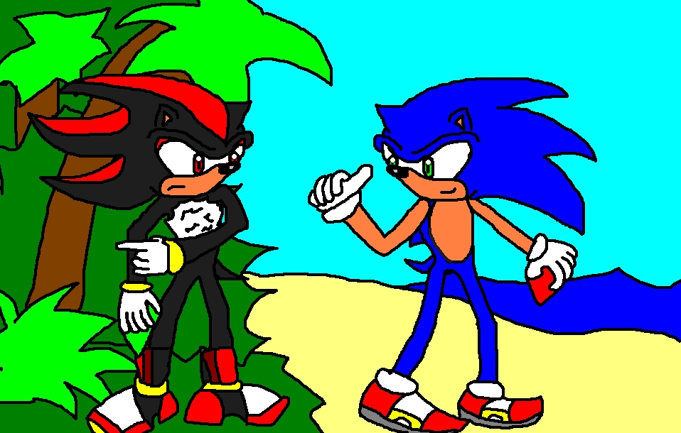Sonic & Shadow by StormtheHedgehog