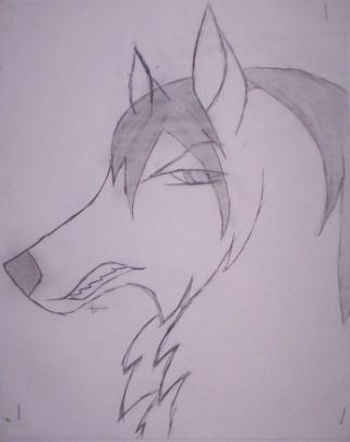 Evil Wolf by Stormy8_99