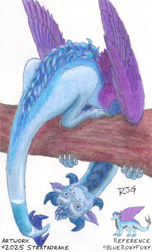 This Side Up by Stratadrake