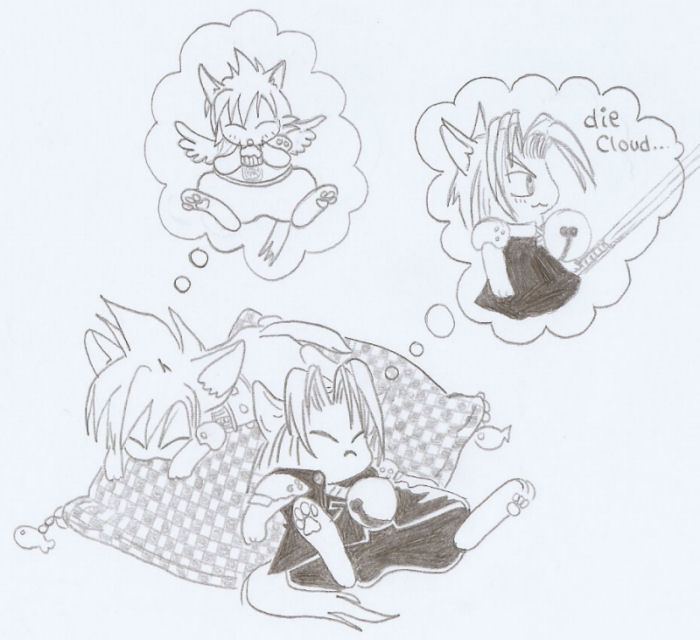 Kitty Cloud and Sephiroth? by Sukooru