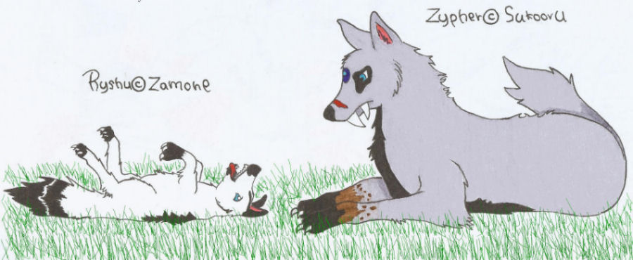 Zypher and Ryshu (gift for zamone) by Sukooru