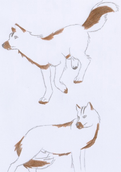 Ryshu doodles by Sukooru