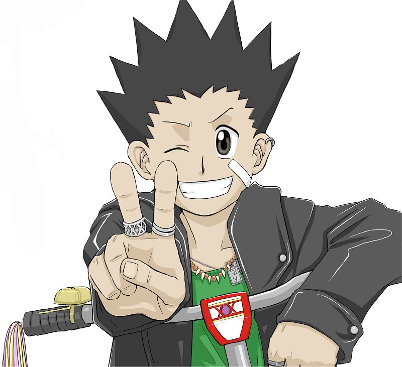 Gon IS the Freaks by Sumi