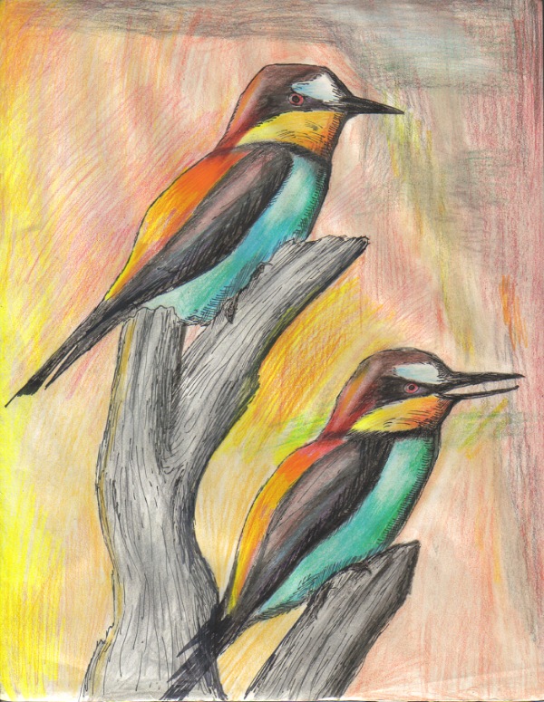 Bee-Eaters by SunStorm