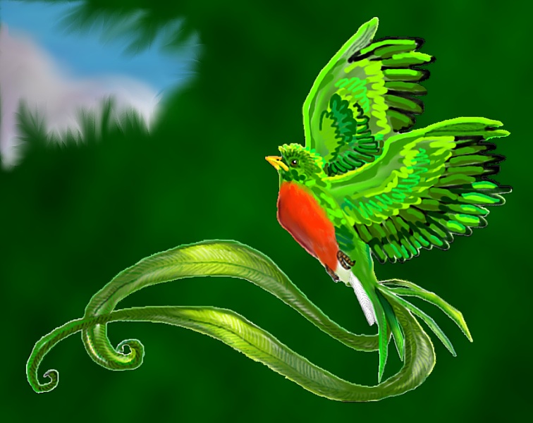 Quetzal by SunStorm