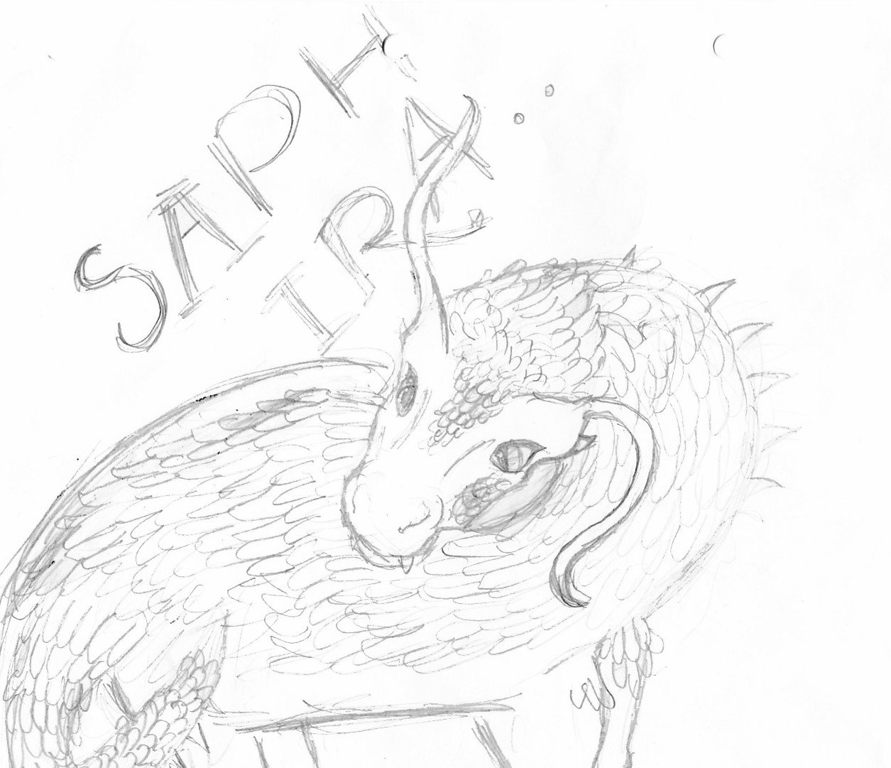 M 1st try at saphira that apparently looks like a by SuperSweet10yearoldManga-rist