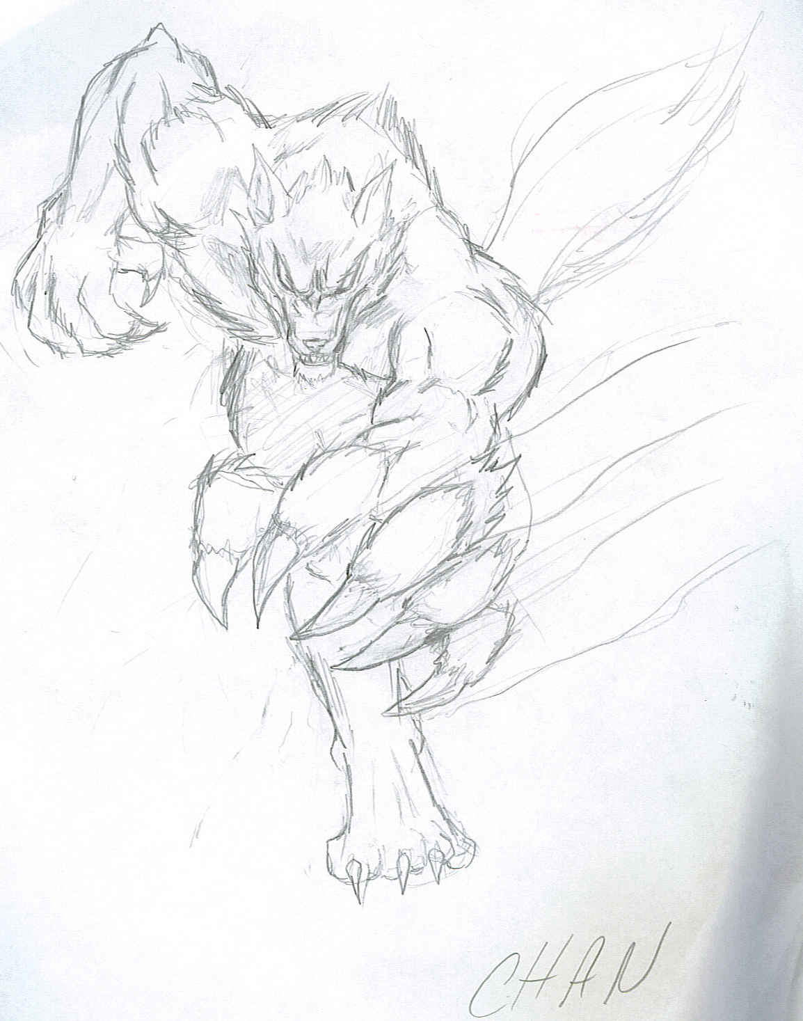 Request:  Wolf Character by Surj_the_Dark_Kaobi
