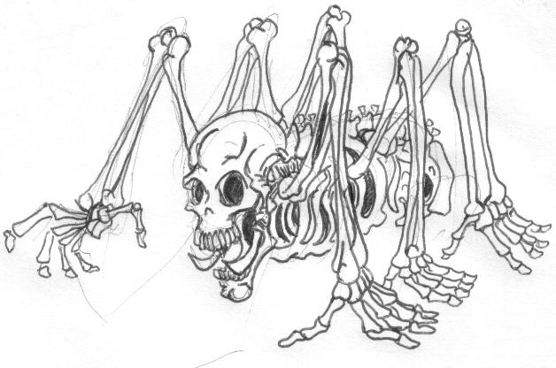 Skeleton Spider by SurrealSightstoBeSeen