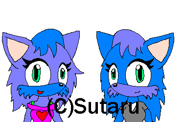 Random Fox twins by Sutaru