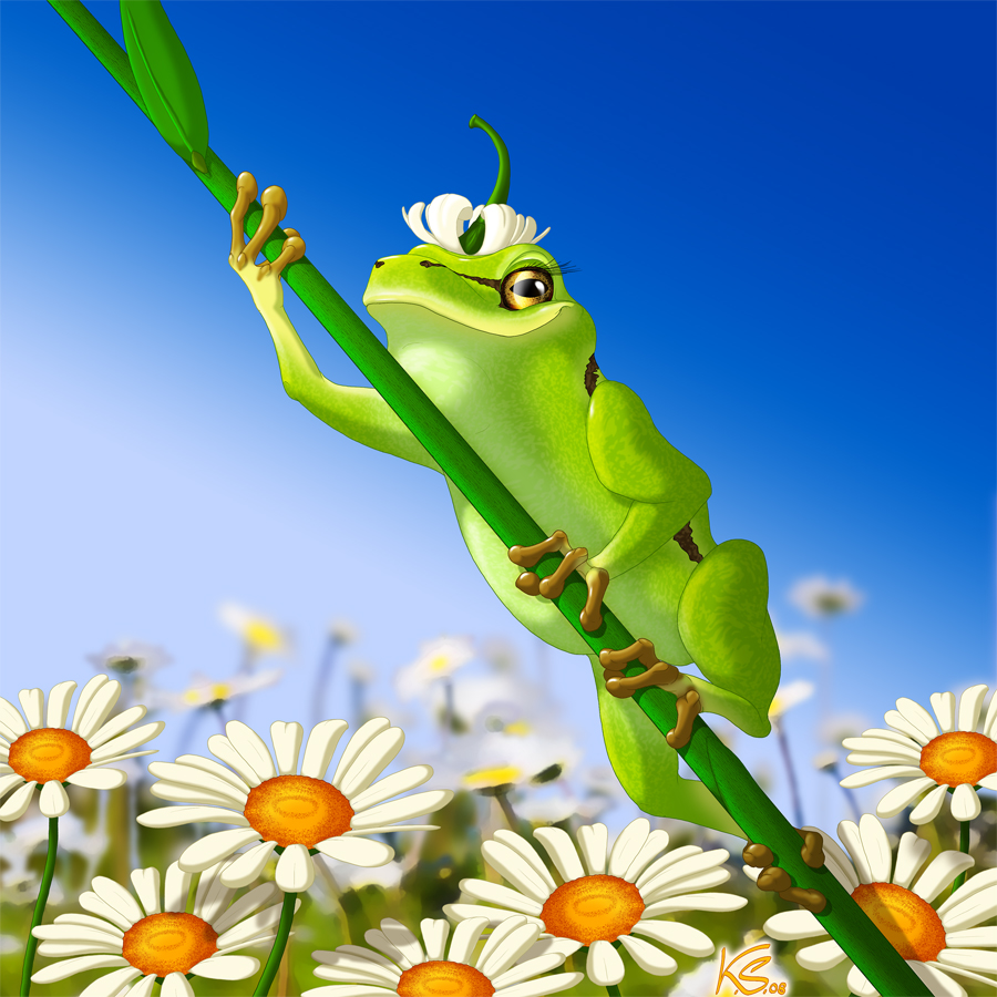 Mrs. Frog by SuziDragonlady