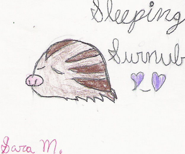 Cute Little Swinub! by Symphoniagirl12