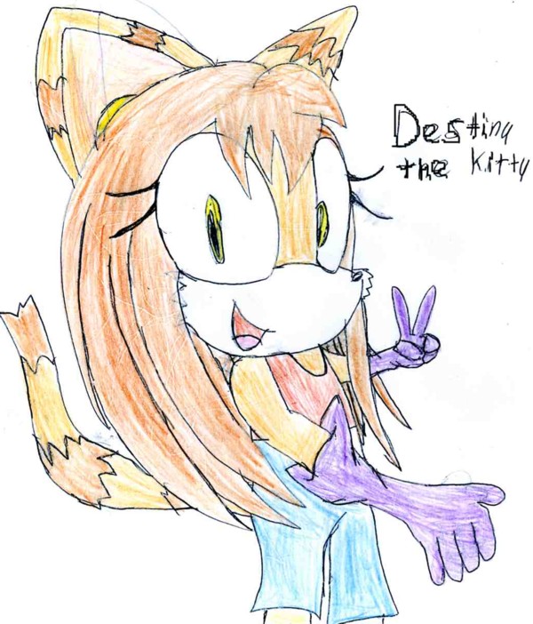 destiny the kitty by sabrinat14