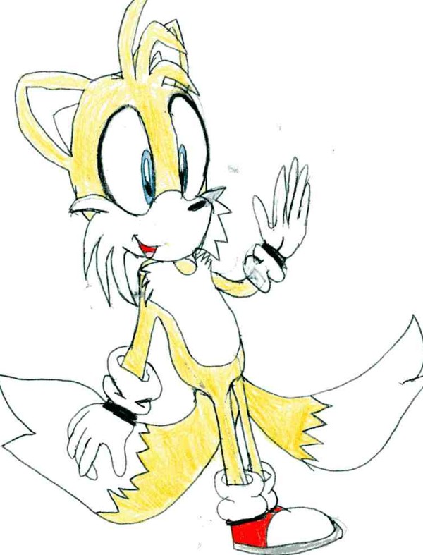Tails. by sabrinat14