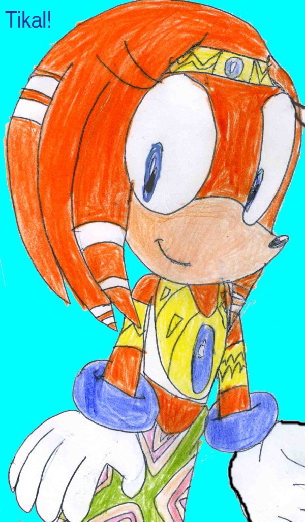 Tikal the echidna! (Chaolover789's request) by sabrinat14