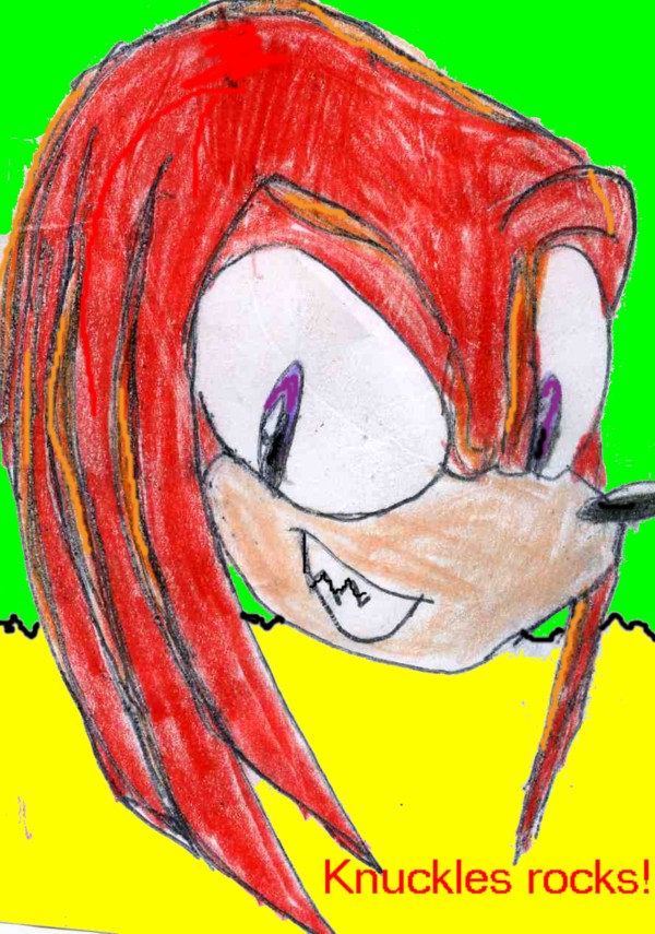 Knuckles rocks!! by sabrinat14