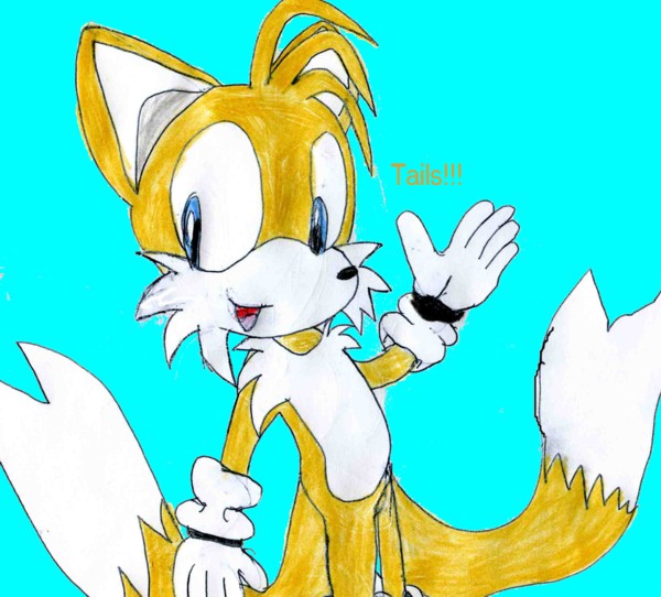 my best pic of tails ever!!!!!!!!!!!!!!!!!!!!!!!!! by sabrinat14