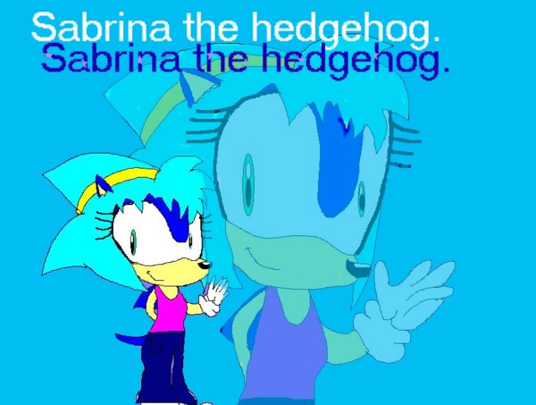 Sabrina the hedgehog by sabrinat14