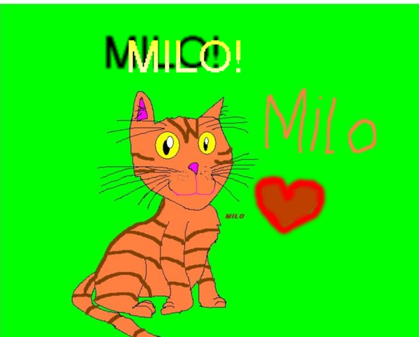 My cat Milo the second! by sabrinat14