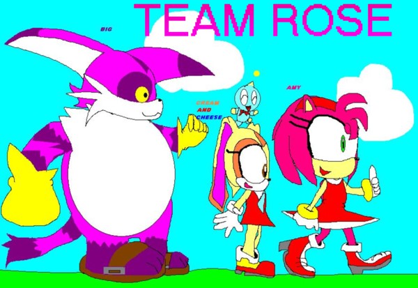 Team Rose done on paint. by sabrinat14