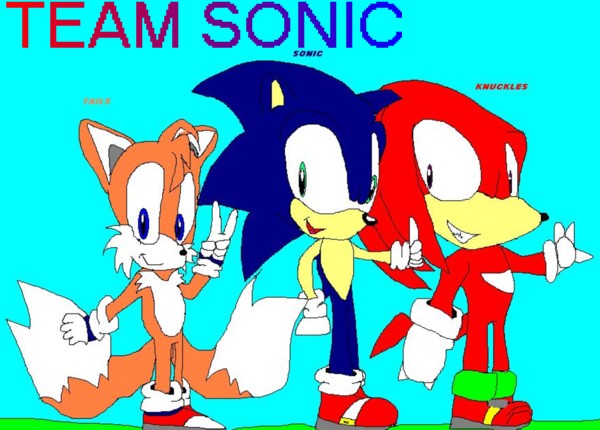 Team Sonic done on paint. by sabrinat14