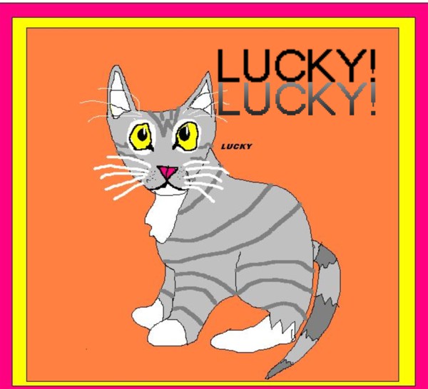 My cat Lucky! (Done on paint) by sabrinat14