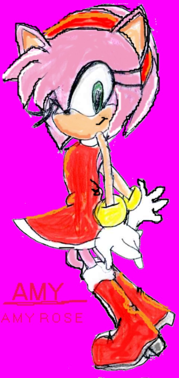 Amy Rose! (Today's Amy) by sabrinat14