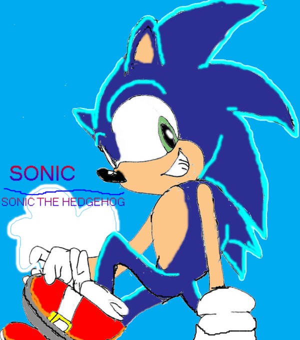 Sonic..... my best pic on FAC ever! by sabrinat14