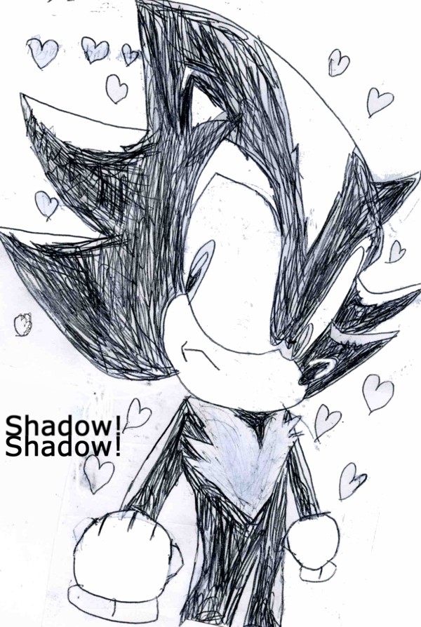 Sketch of Shadow! by sabrinat14